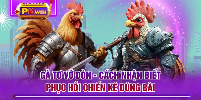 Gà Tơ Vỡ Đòn - Cách Nhận Biết & Phục Hồi Chiến Kê Đúng Bài