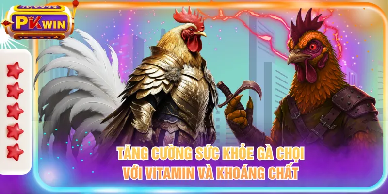 Tăng cường sức khỏe gà chọi với vitamin và khoáng chất