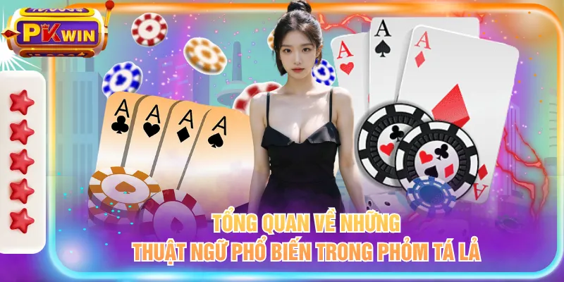 Tổng quan về những thuật ngữ phổ biến trong phỏm tá lả